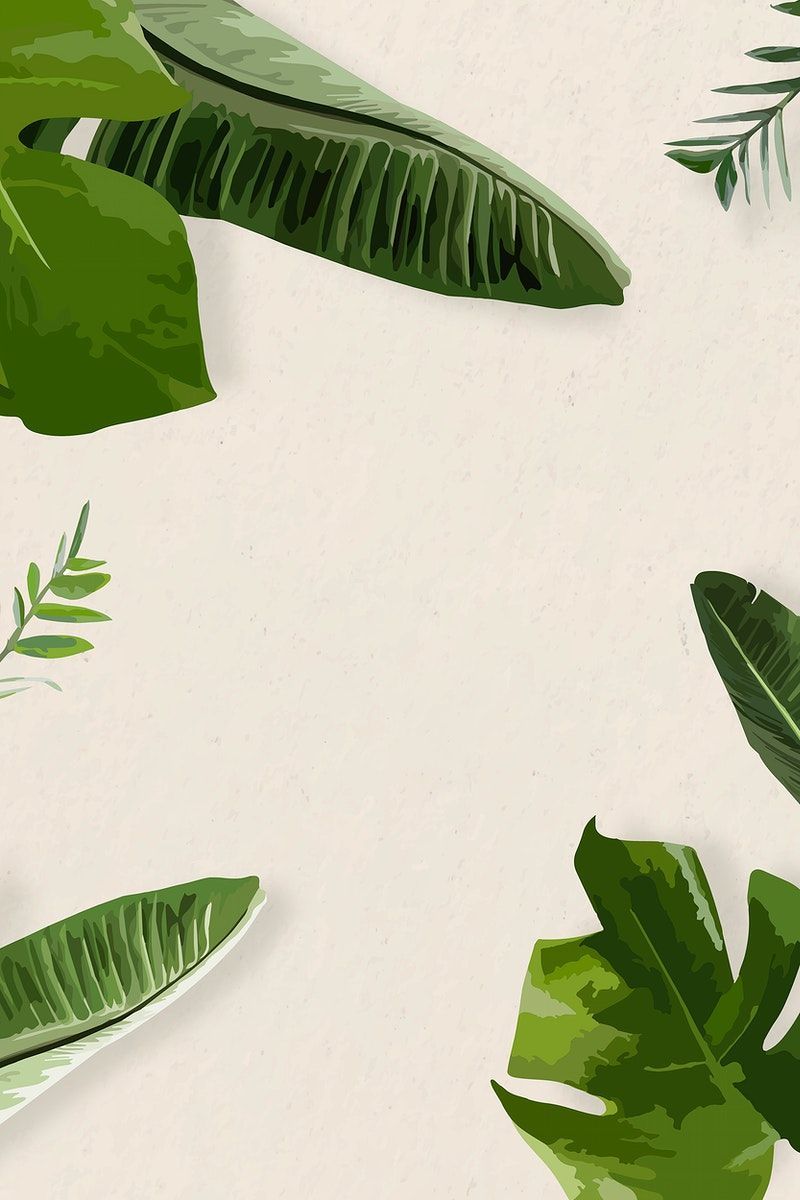 Green leaf frame vector exotic border, banana leaf