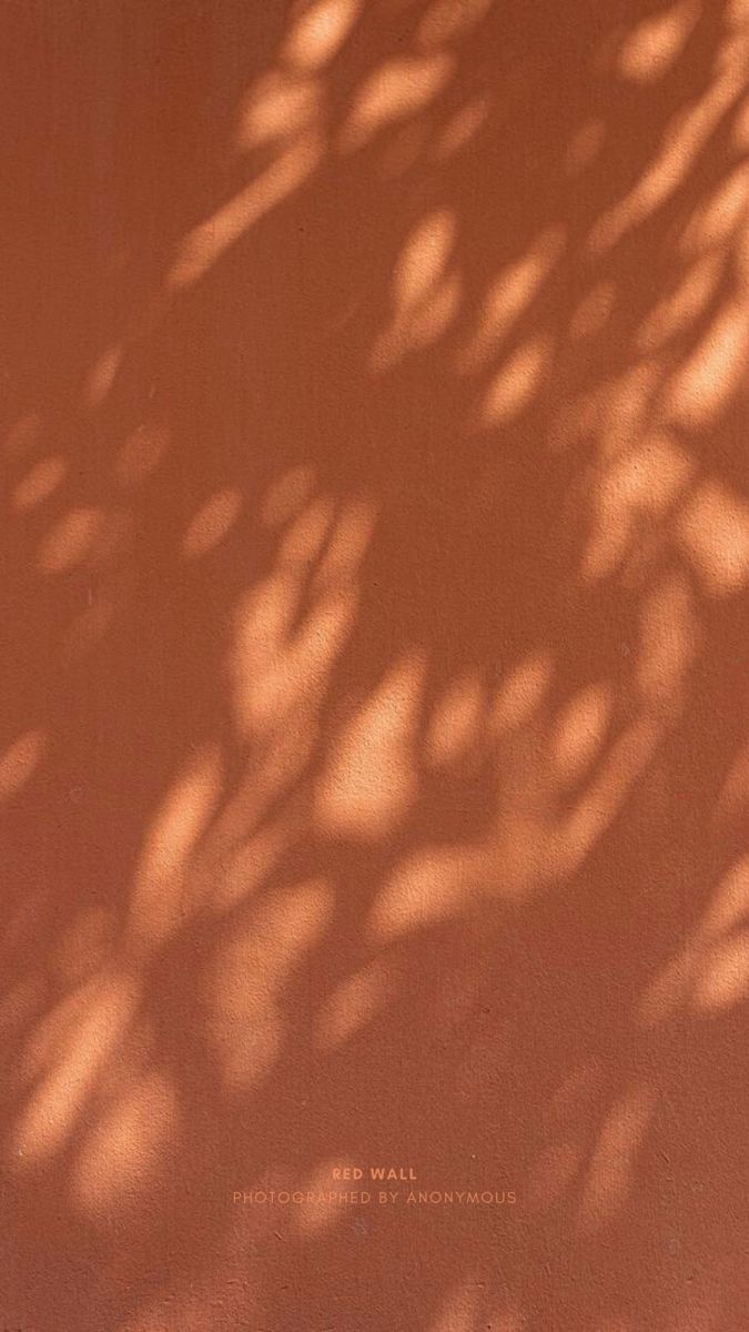 301636c97fe5aa90bbff8e41a2d800f9